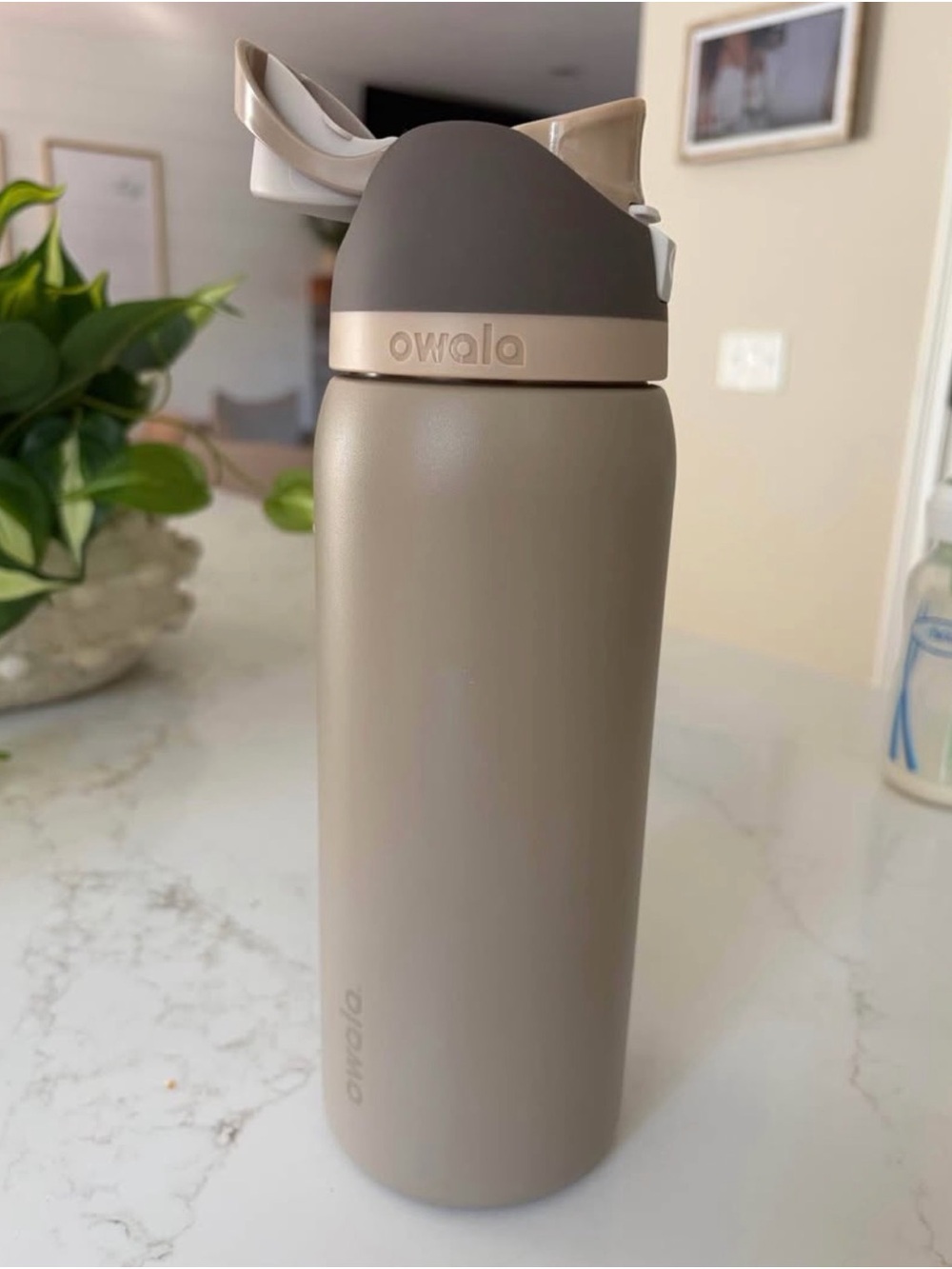 Owala Taupe Insulated Bottle with Easy-Open Flip Lid